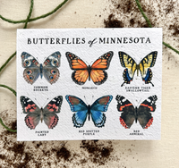 Butterflies of Minnesota Plantable Wildflower Seed Card