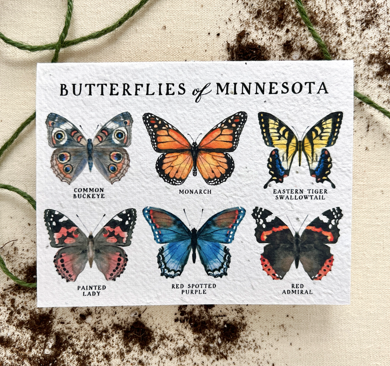 Butterflies of Minnesota Plantable Wildflower Seed Card