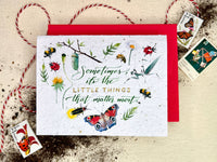 The Little Things Plantable Wildflower Seed Card
