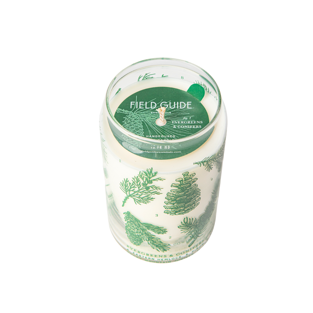 Evergreens & Conifers Soy Candle - Forest Floor Collection
