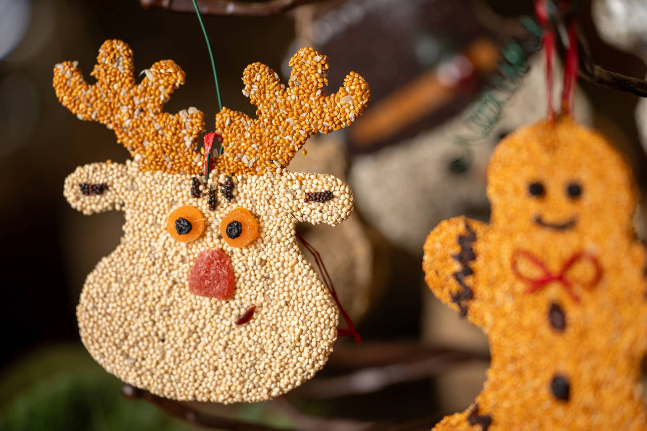Rudolph Christmas Cookie