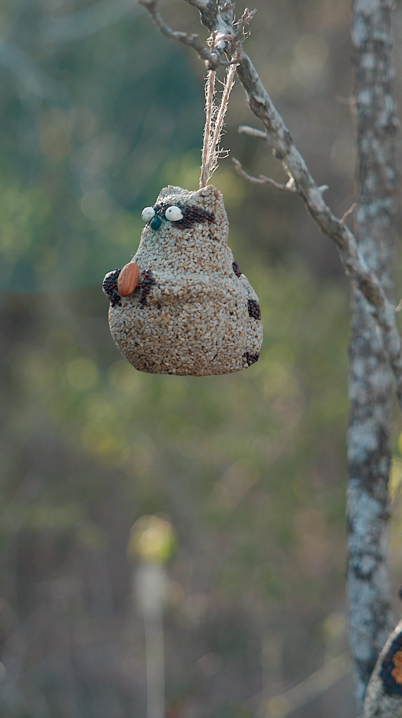 Woodland Friends - Raccoon