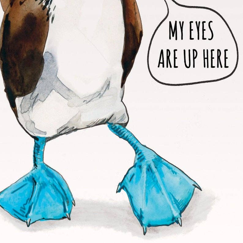 Blue footed Boobie - Funny Just Because Card