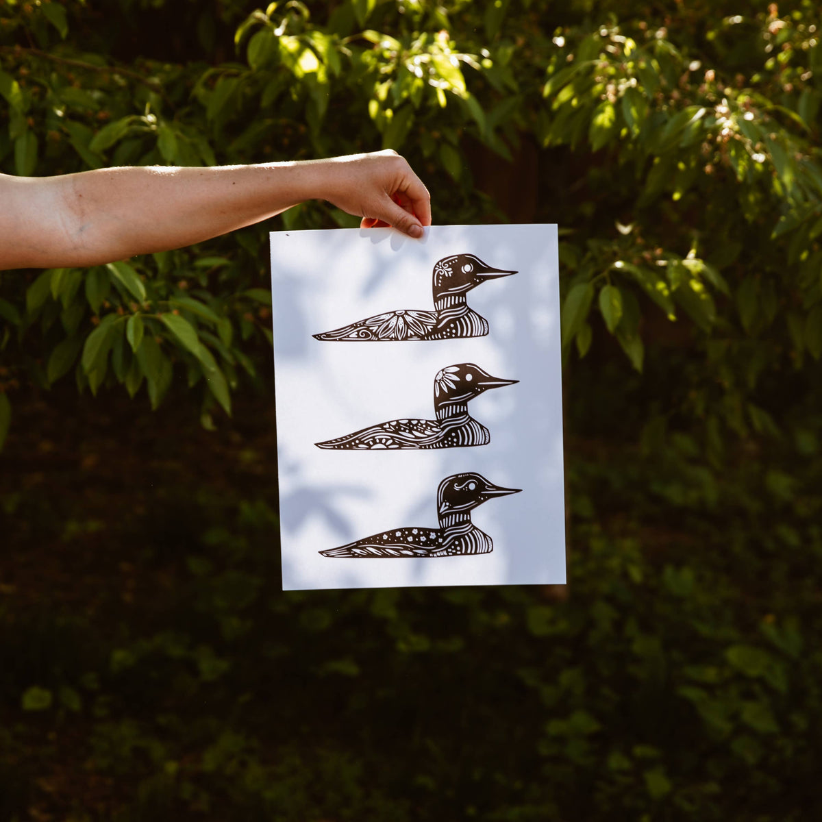 Common Loon Print Wall Art Nordic