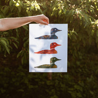 Common Loon Print Wall Art Nordic