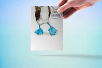 Blue footed Boobie - Funny Just Because Card