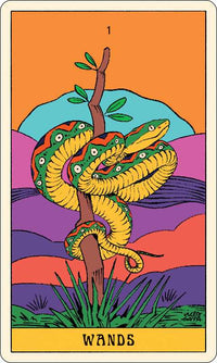 Mystical Forest Tarot by Cecilia  Lattari