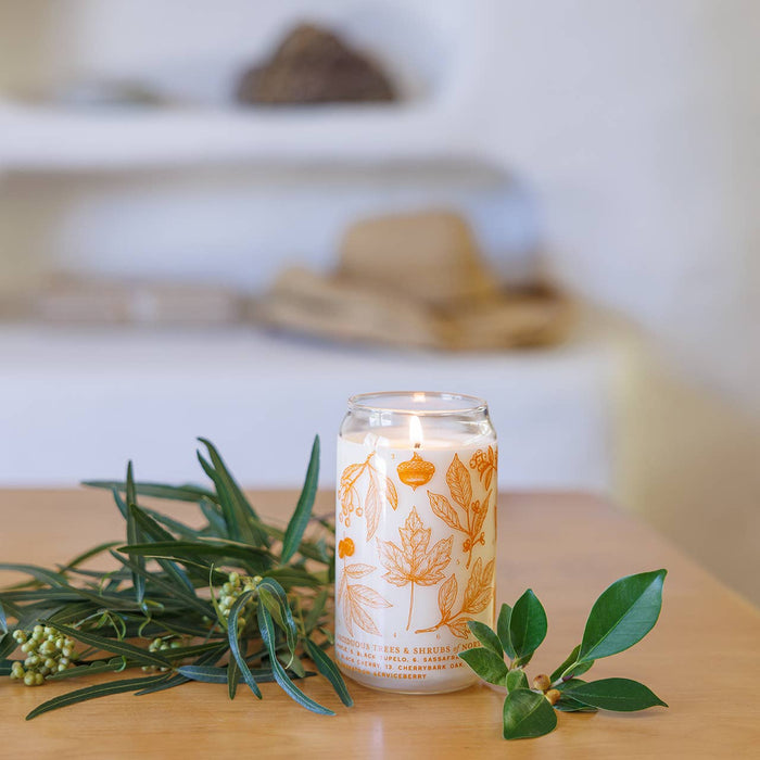 Deciduous Trees Soy Candle - Forest Floor Collection