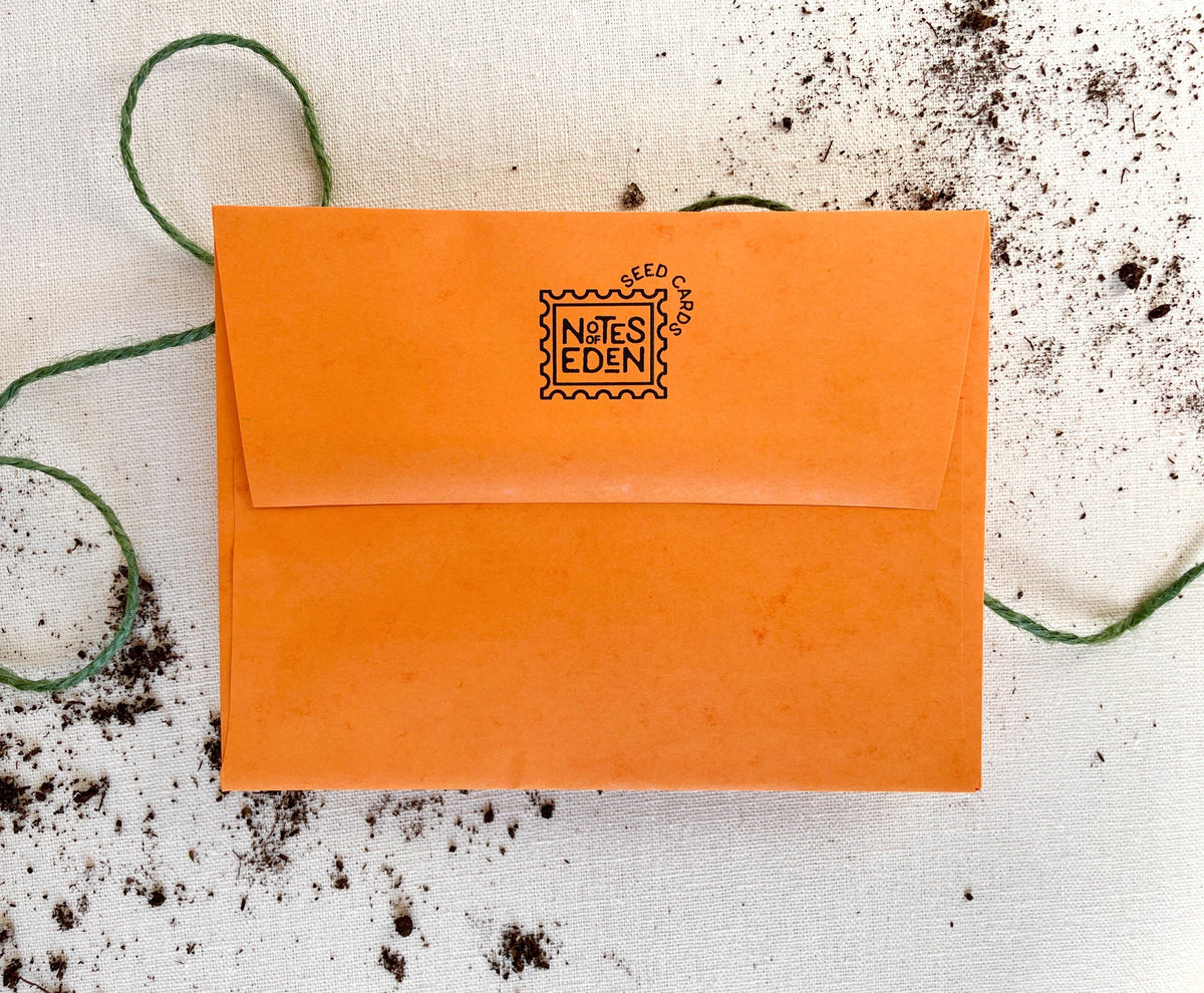 Butterflies of Minnesota Plantable Wildflower Seed Card