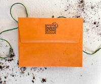 Butterflies of Minnesota Plantable Wildflower Seed Card