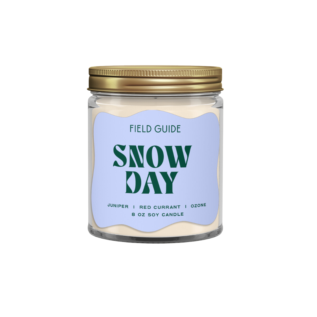 Snow Day Holiday Soy Candle / Merry Moments Collection