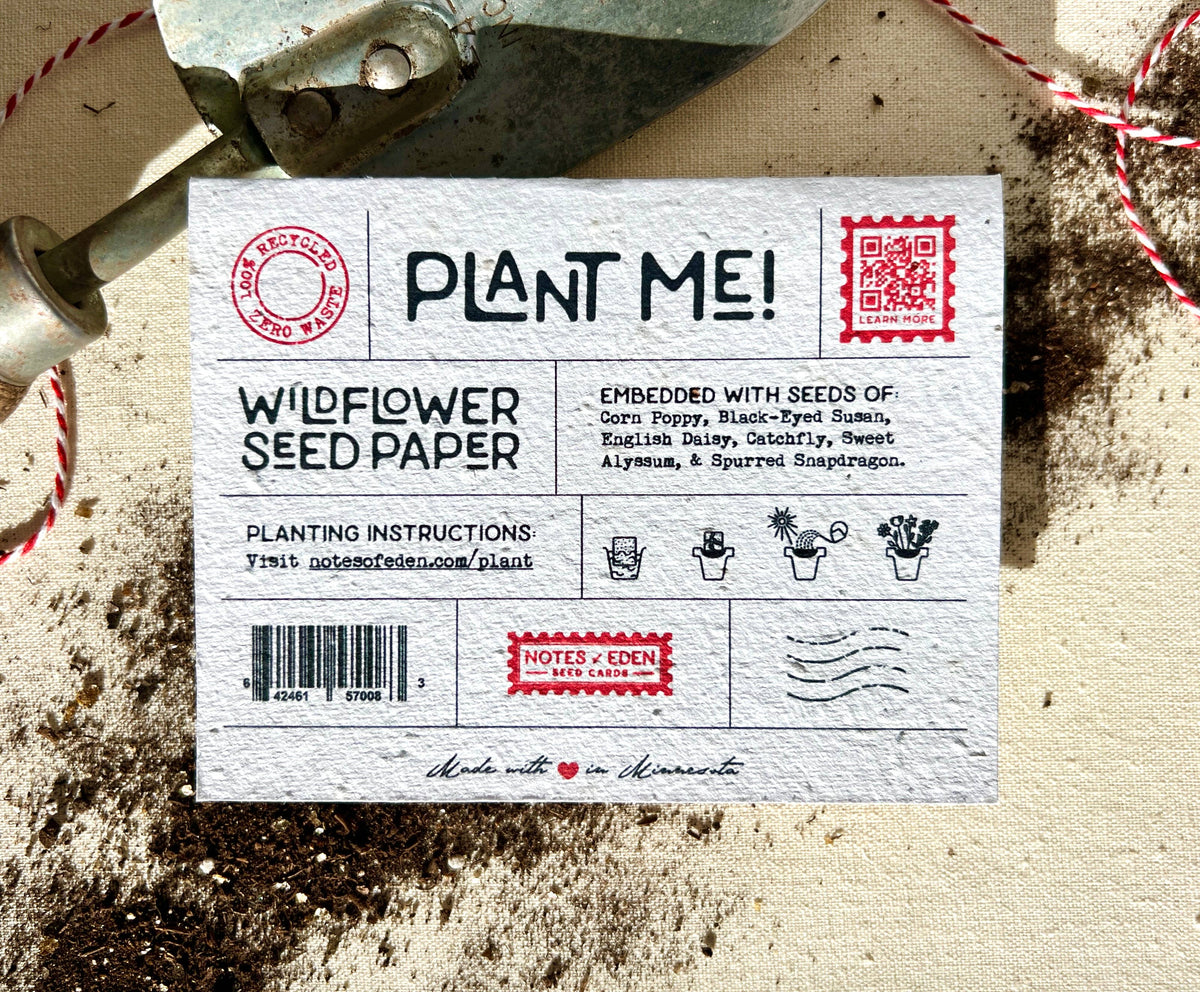Butterflies of Minnesota Plantable Wildflower Seed Card