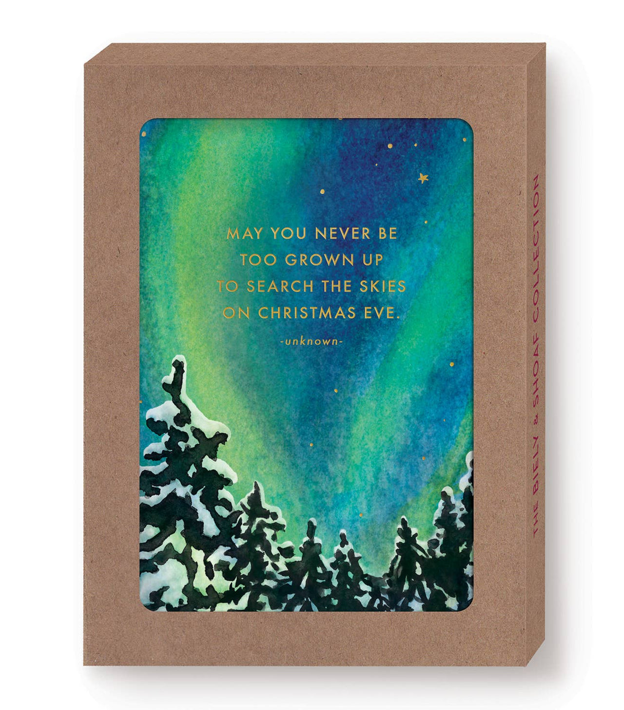Search The Skies Boxed Holiday Cards - Set of 10