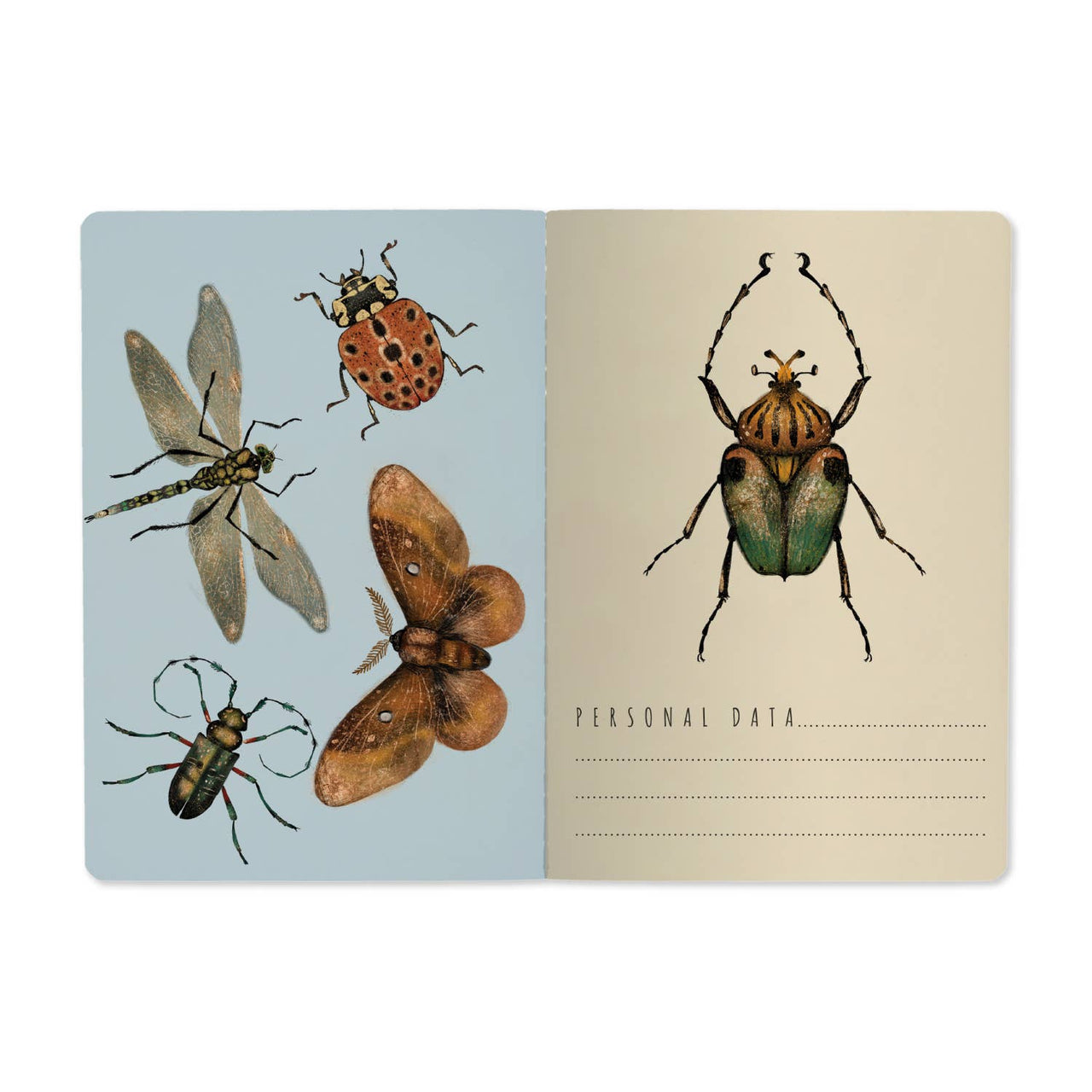 A5 Notebook - Entomology 