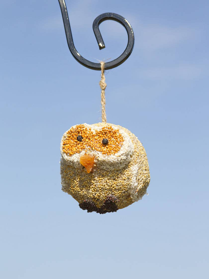 Woodland Friends - Owl