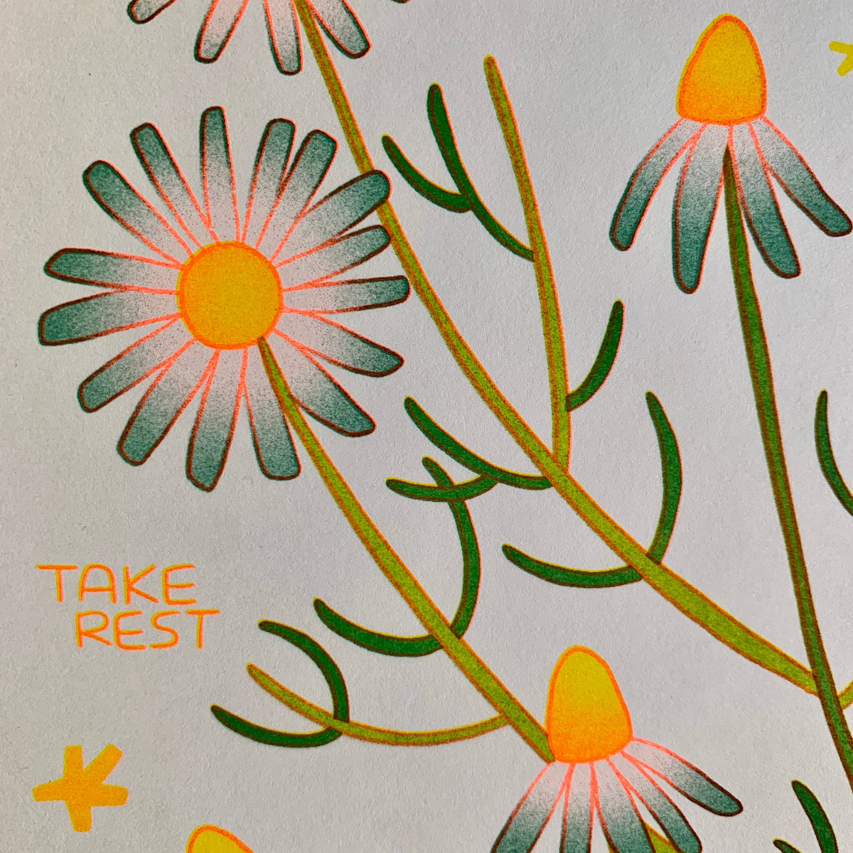We Can Calm Like Chamomile - Risograph Art Print