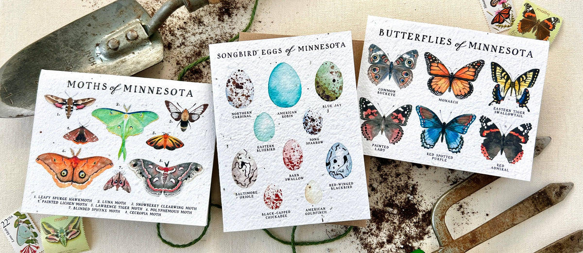 Butterflies of Minnesota Plantable Wildflower Seed Card