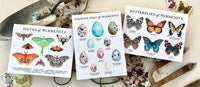 Butterflies of Minnesota Plantable Wildflower Seed Card