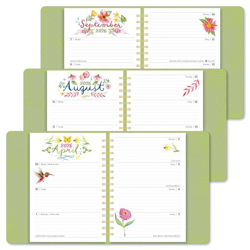 Katie Daisy 2026 Deluxe Weekly Planner by Katie  Daisy