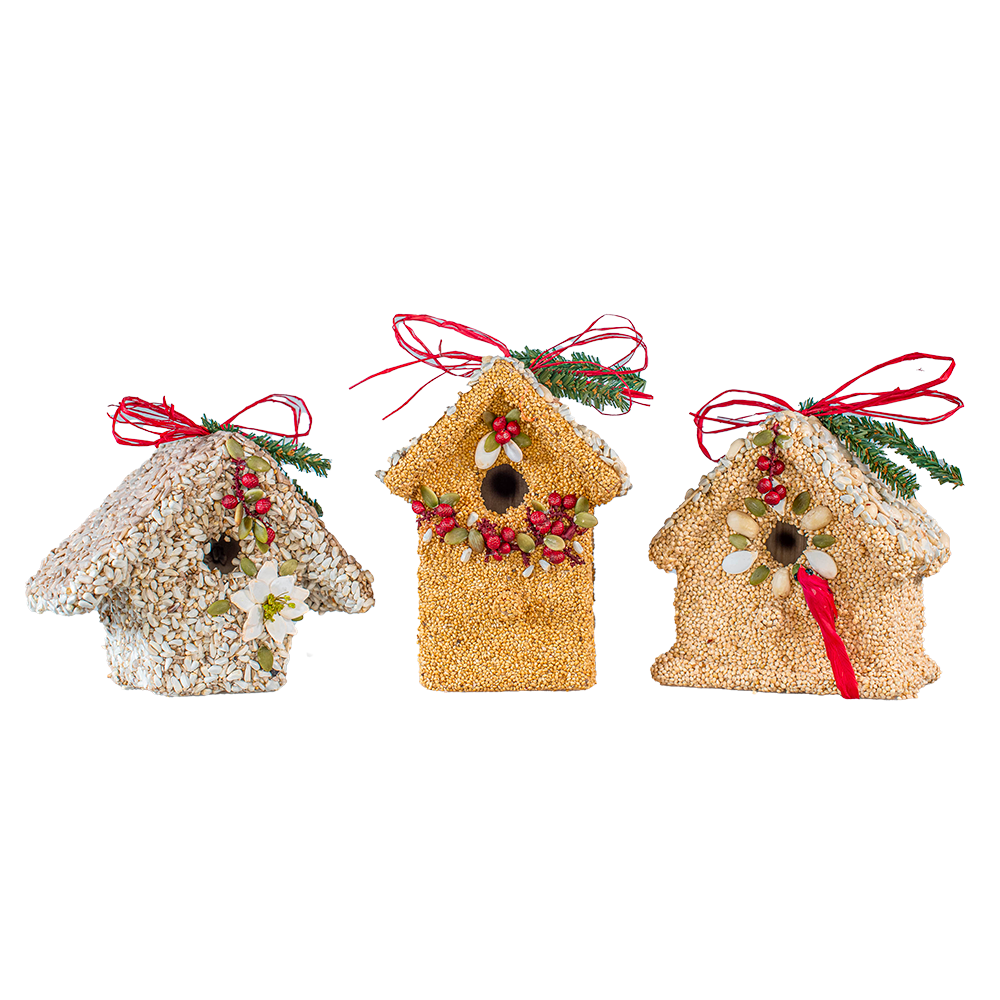 Poinsettia Birdie Cottages