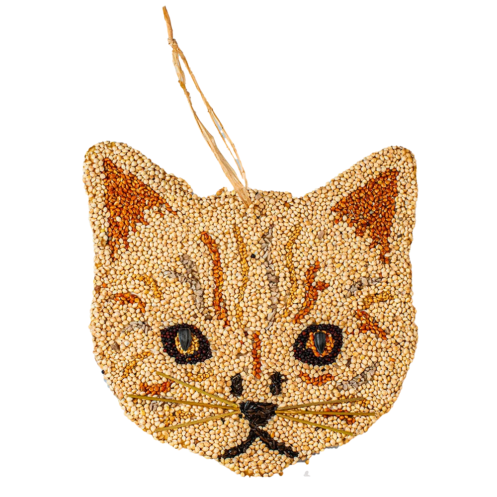 Cat Cookie Bird Sead Ornament