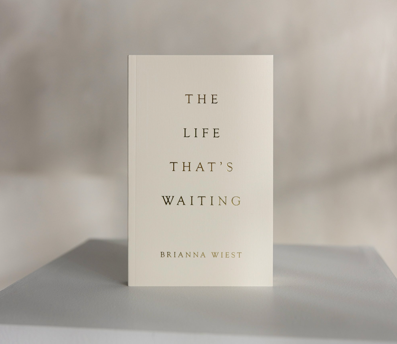 The Life That's Waiting (book)