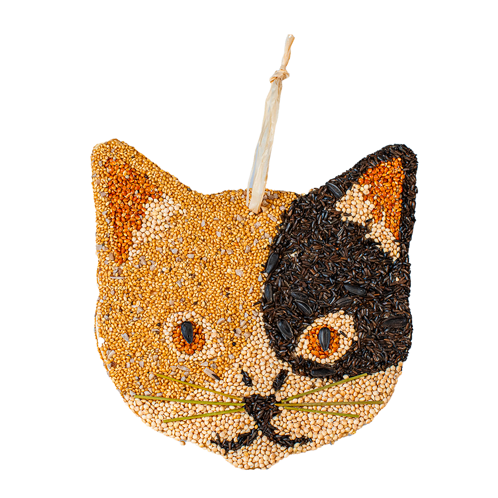 Cat Cookies - 12pk Assortment