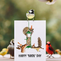 Bird Feeder Birthday - Funny Birthday Card