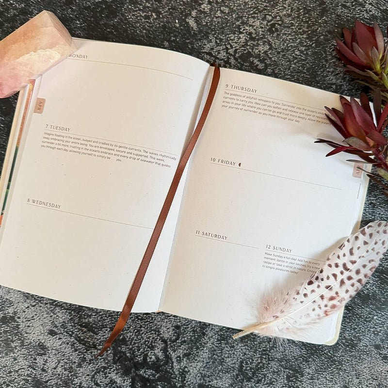 2026 Moon Goddess Planner Calendar: Northern Hemisphere by Nicci  Garaicoa