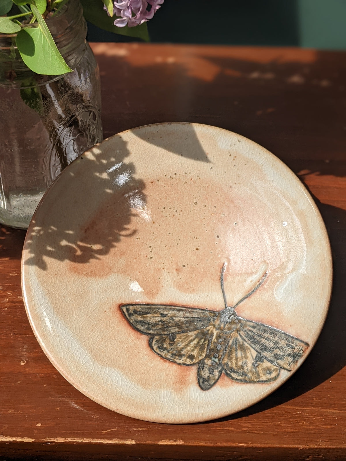 Moth Plate