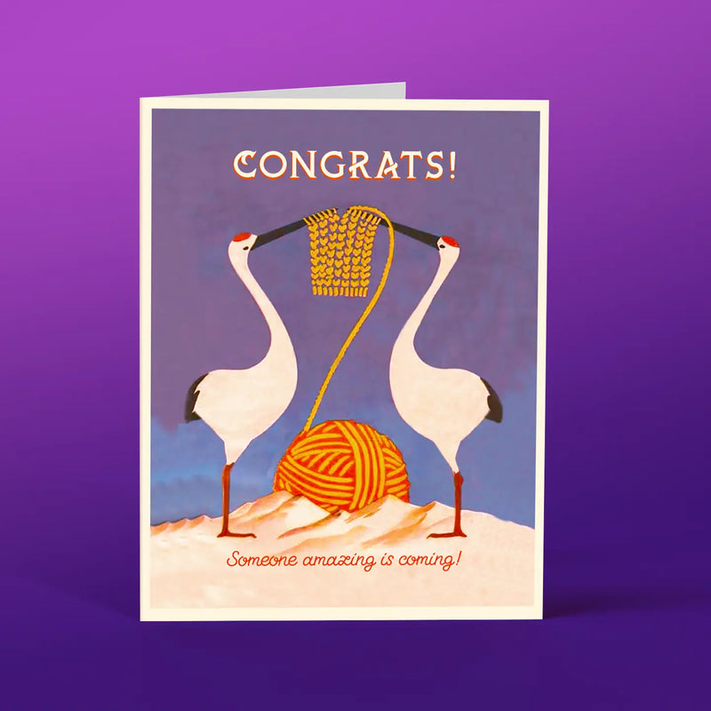 Two Storks Baby Card