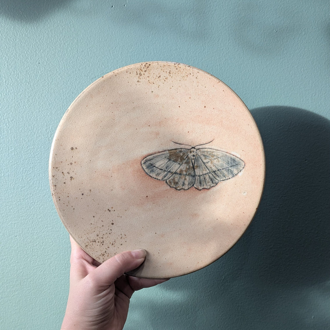 Moth Plate