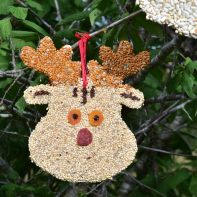 Reindeer Christmas Cookie Bird Seed