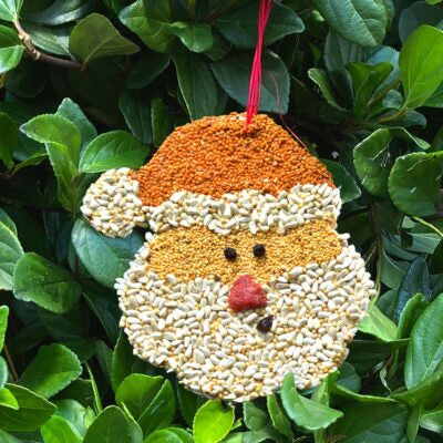 Santa Christmas Cookie Bird Seed