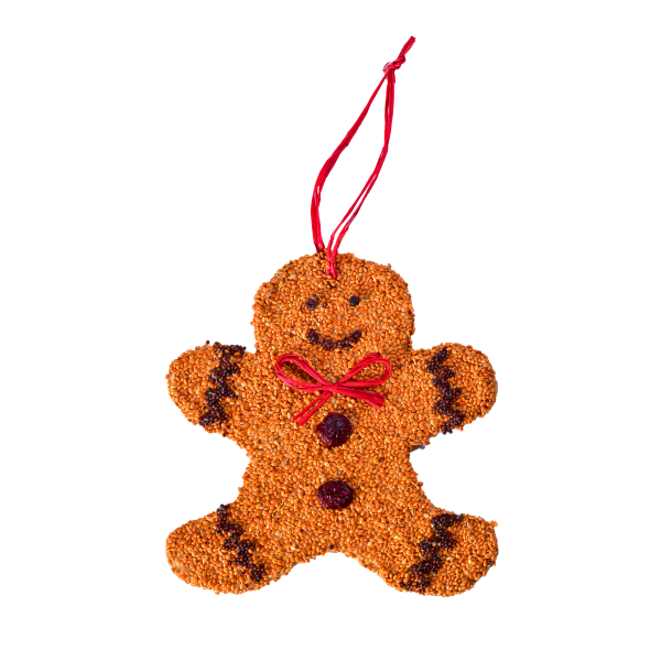 Gingerbread Man Christmas Cookie Bird Seed