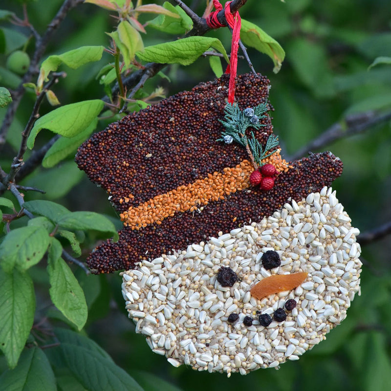 Frosty Christmas Cookie Bird Seed