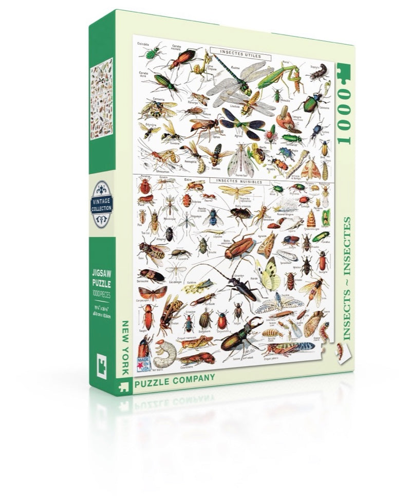 Insects Puzzle