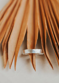 Cigar Band | 14kt Gold Fill + Sterling Silver