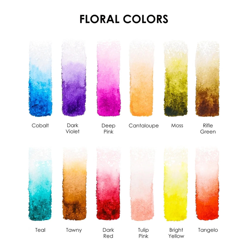 Watercolor Pocket Set Of  12 With Brush - Floral Co