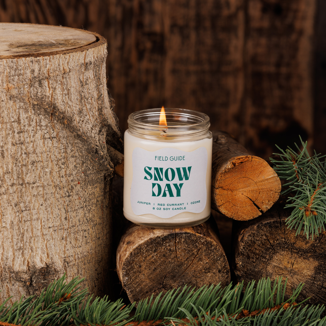 Snow Day Holiday Soy Candle / Merry Moments Collection
