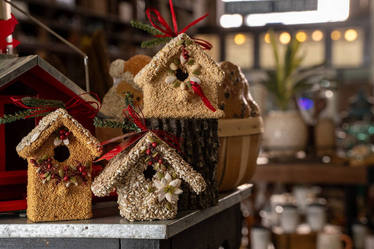 Poinsettia Birdie Cottages