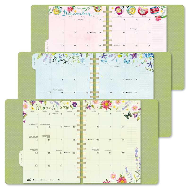 Katie Daisy 2026 Deluxe Weekly Planner by Katie  Daisy