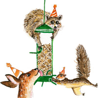 Bird Feeder Birthday - Funny Birthday Card