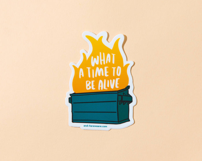 Dumpster Fire Vinyl Sticker - Fathers Day Gift Mothers Day Spring Easter