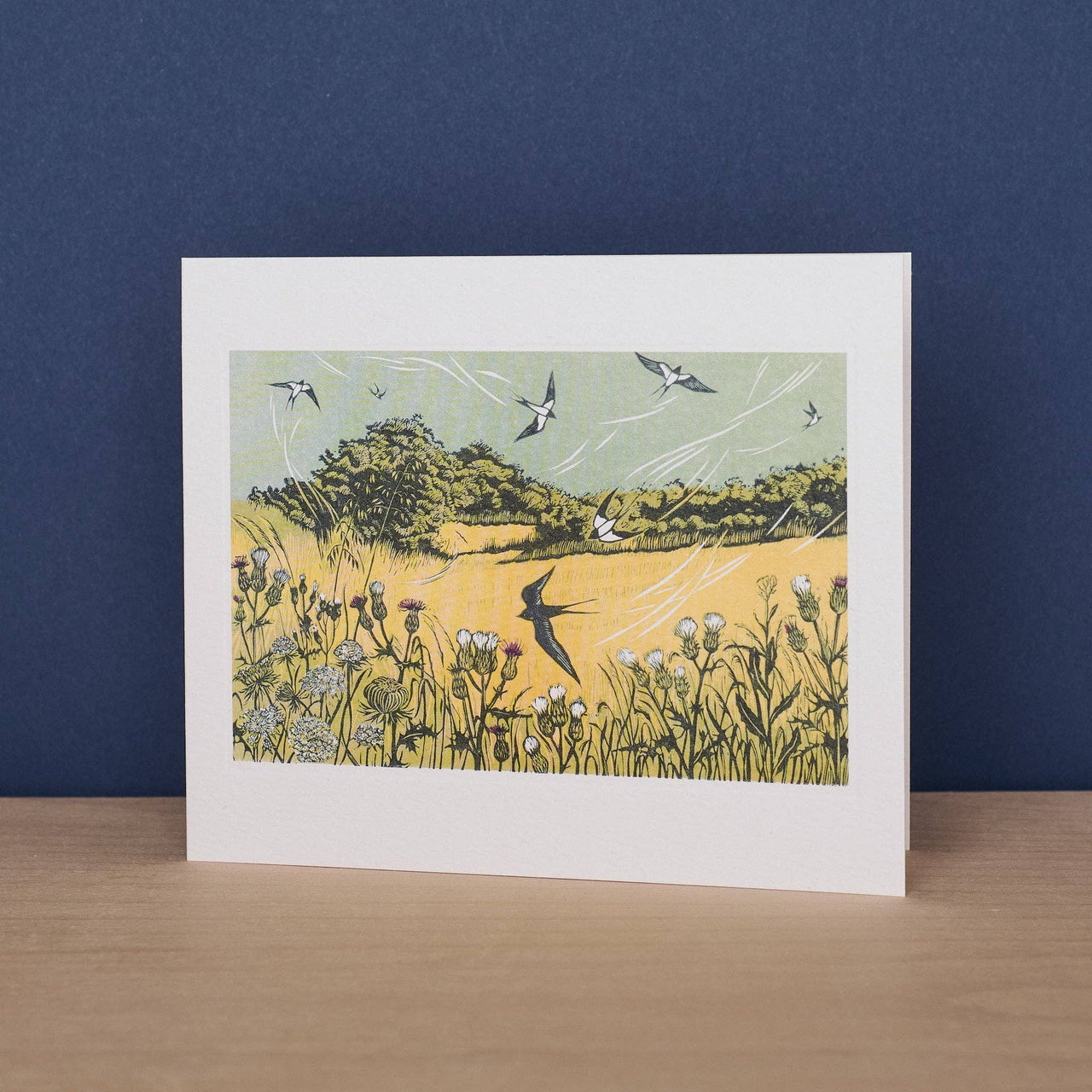 Bayfield Swallows