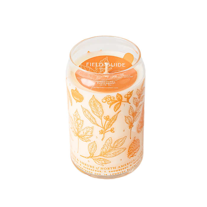 Deciduous Trees Soy Candle - Forest Floor Collection