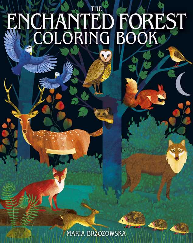 Enchanted Forest Coloring Book by