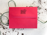 The Little Things Plantable Wildflower Seed Card