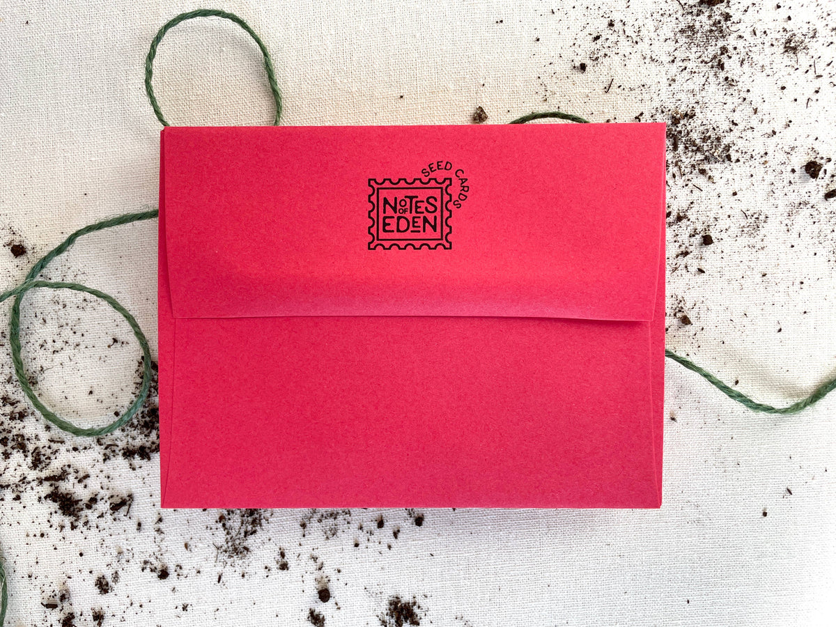 Pocketful of Sunshine Wildflower Plantable Seed Card