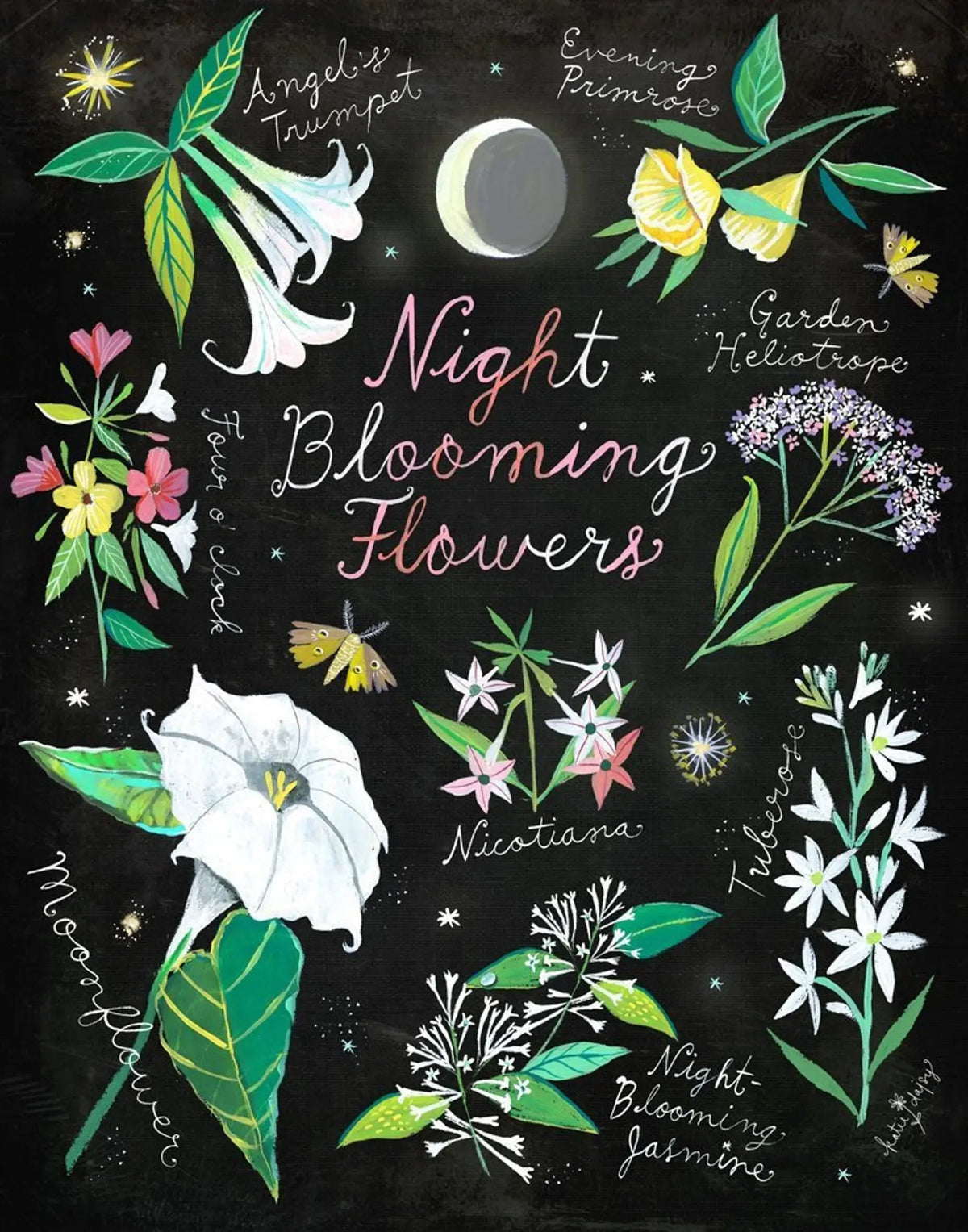 Night Blooming Flowers
